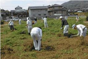 写真：草刈り