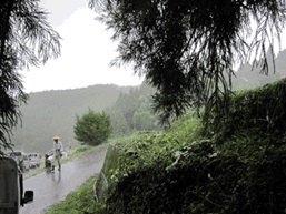 写真：突然の豪雨で作業は中止に