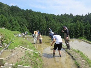 写真：田植え2