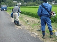 写真：草刈り