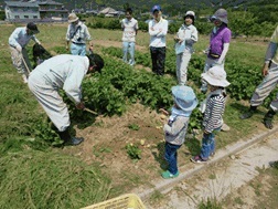 写真：都田5.24.2　試し掘り