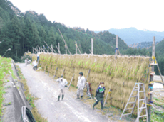 写真：松和技研・はざかけ