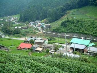 写真：清沢の風景