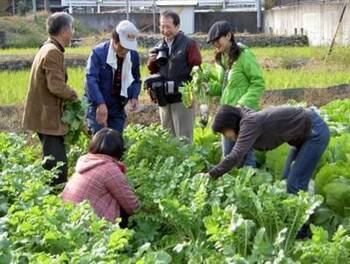 写真：農園での収穫体験