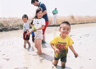 写真：田植え