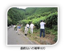 写真：道路沿いの雑草刈り