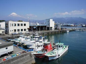 写真：田子の浦景観