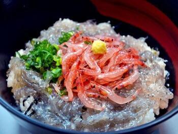 写真：日本一丼