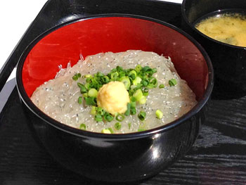 写真：生しらす丼