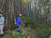 写真：里山づくり1