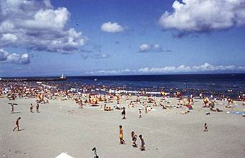 Swimming on the beach photo