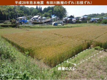 写真：熊本地震　断層のずれ