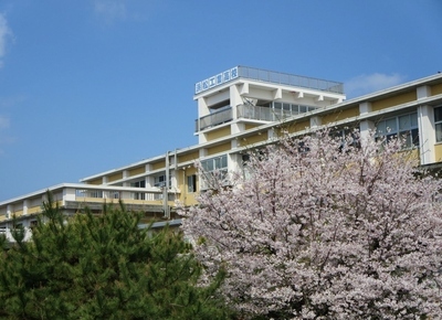 写真：静岡県浜松工業高等学校　桜と校舎