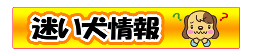 迷い犬の情報はこのバナーをクリックしてください