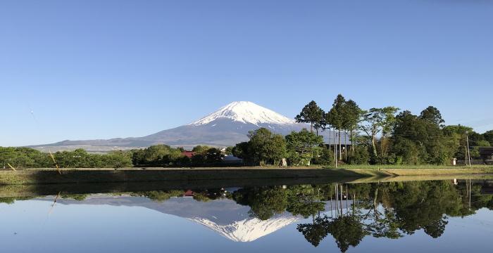 写真：富士山