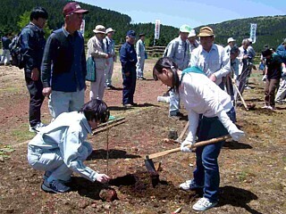 写真：市民参加の森づくり：あまぎ交流の森（伊豆市）