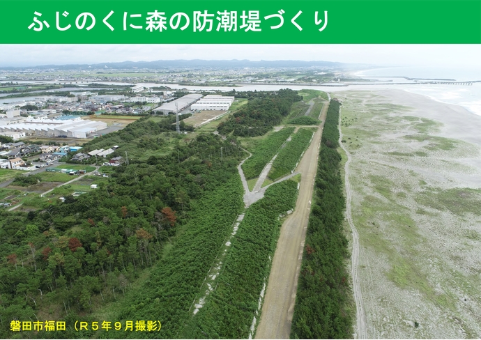 ふじのくに森の防潮堤づくり磐田市福田海岸の写真