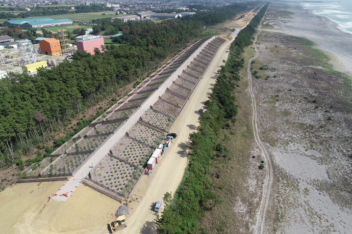 磐田市塩新田の森の防潮堤令和6年10月の写真