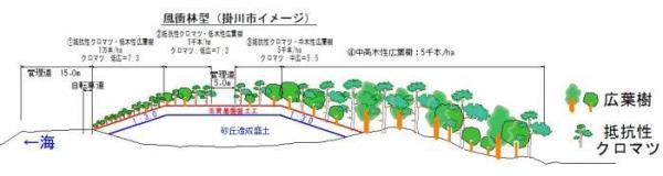 イラスト：風衝林型