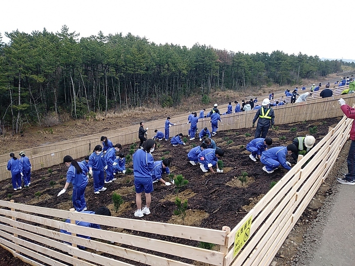 植樹状況の全体写真