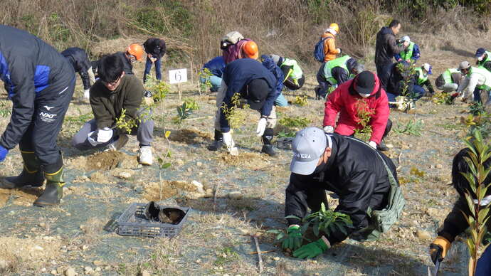 植樹の様子