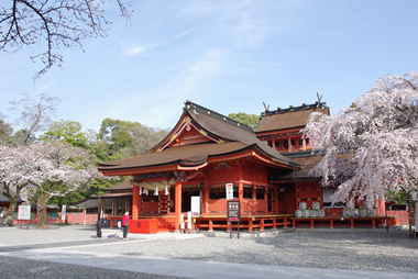 画像：ぐるり富士山