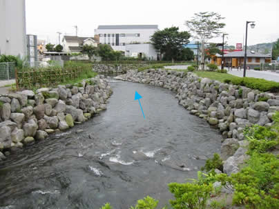 画像：一級河川神田川着後写真その1