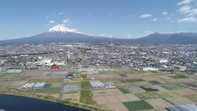 写真：香西新田・伝法工区の様子