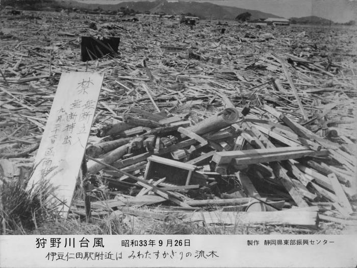 写真：伊豆仁田駅付近