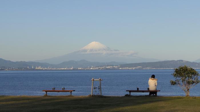 写真：焼津市2