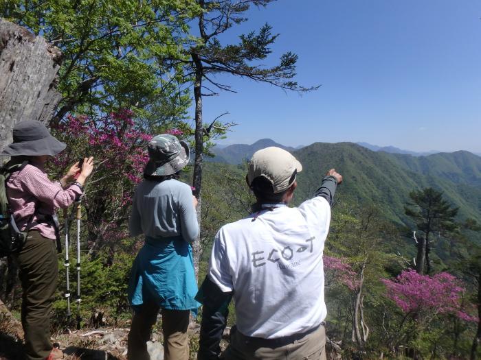 写真：大札山