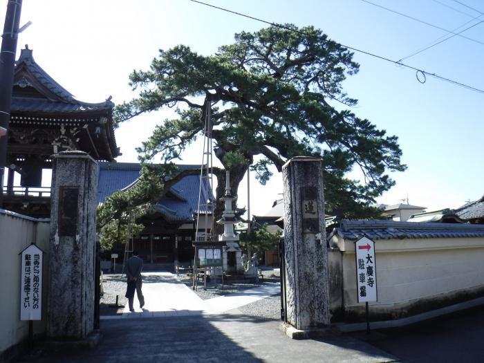 写真：大慶寺