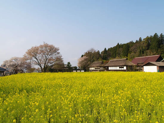 写真：風景の写真