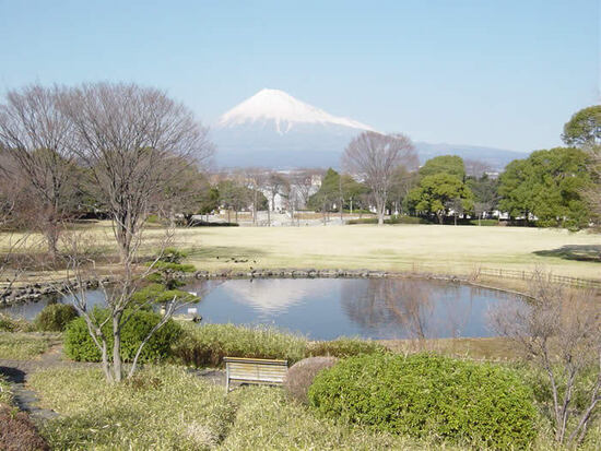 写真：中央公園の写真