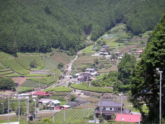 写真：有東木風景