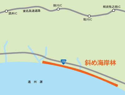 地図：斜め海岸林案内図