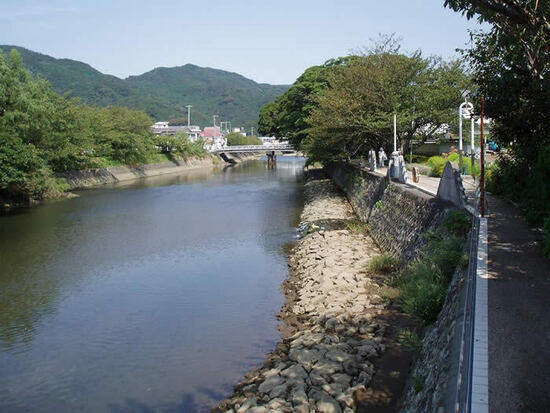 写真：らんの里堂ヶ島の風景写真