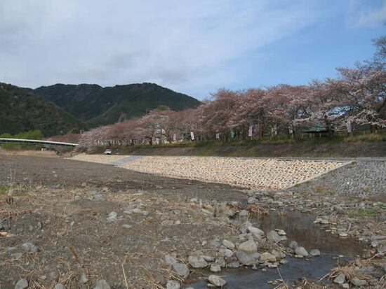 写真：家山川の風景