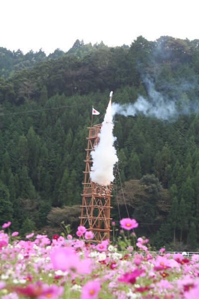 写真：龍勢とコスモス