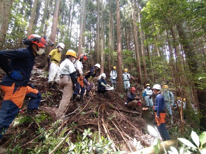 写真：樹木に囲まれた現地ではヘルメットを着用