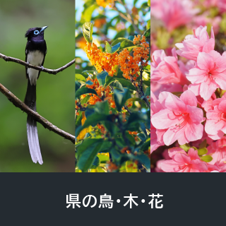 県の鳥・花・木