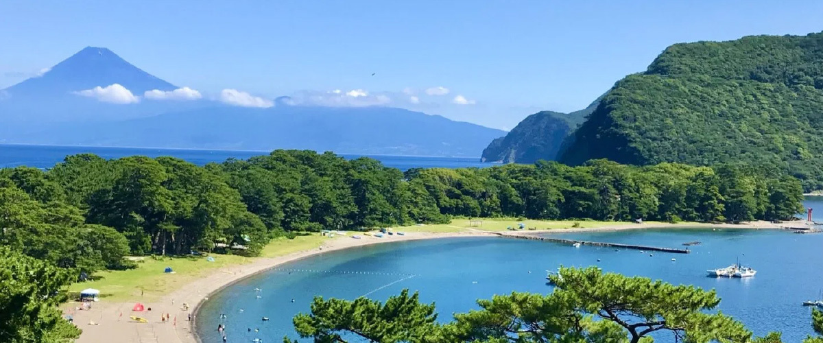 写真：夏の風景