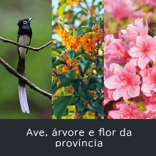 Ave, árvore e flor da província