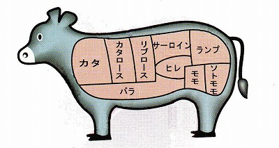 イラスト：牛肉の部位名