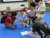 写真：犬に触れて体験学習をしている様子