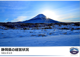 写真：静岡県のIR資料表紙