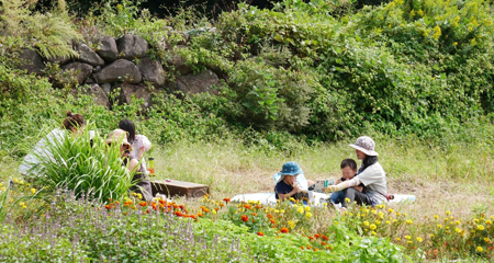 写真：耕作放棄地を活用したハーブガーデン