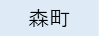 森町（外部リンク・新しいウィンドウで開きます）