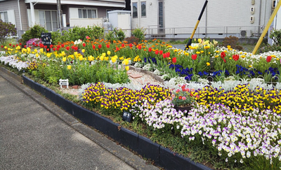 春の小花でパッチワークの花壇