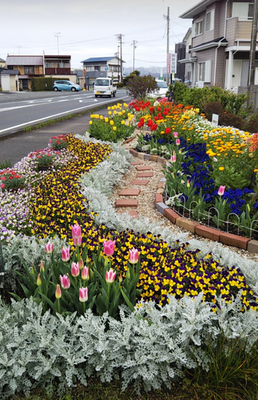 春の小花でパッチワークの花壇2